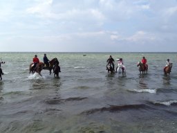IMG_1362_web